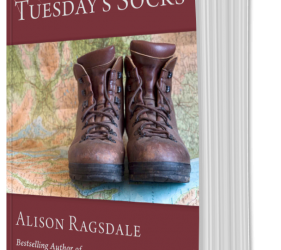 Image of Tuesday's Socks Book